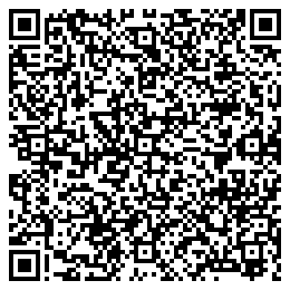 QR-код с контактной информацией организации Автомастер