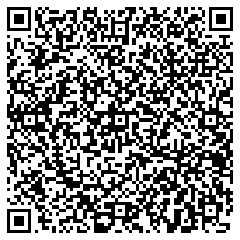QR-код с контактной информацией организации ИП Искандиров В.С.