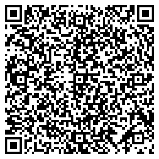 QR-код с контактной информацией организации ИП Бабина Л.И.