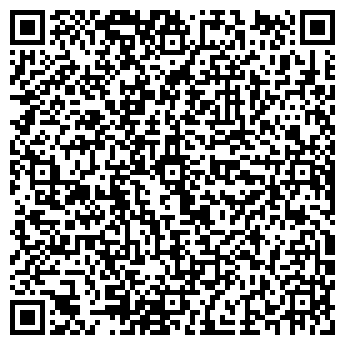 QR-код с контактной информацией организации Дизель Моторс