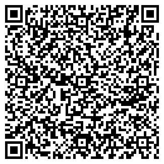 QR-код с контактной информацией организации Вариант