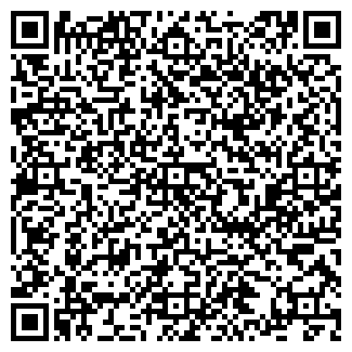 QR-код с контактной информацией организации Zeppelin, сауна