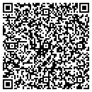 QR-код с контактной информацией организации ООО Строй ЛиСИнвест