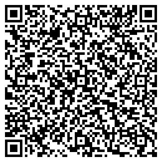 QR-код с контактной информацией организации Феникс