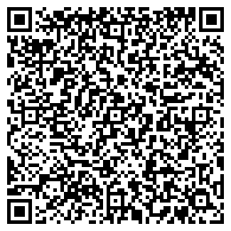 QR-код с контактной информацией организации Artista