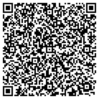 QR-код с контактной информацией организации ИП Ведищев Н.В.