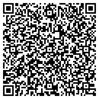 QR-код с контактной информацией организации ИП Курин М.С.