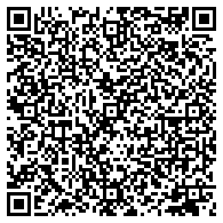 QR-код с контактной информацией организации ЧЕМИ ООО