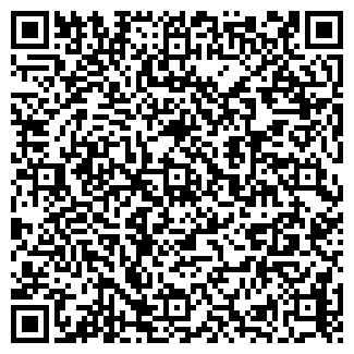 QR-код с контактной информацией организации ИП Чернова И.В.