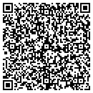QR-код с контактной информацией организации Наш Тобольск