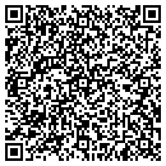 QR-код с контактной информацией организации Russgo.com