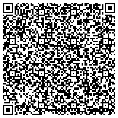 QR-код с контактной информацией организации ДЕТСКАЯ МУЗЫКАЛЬНАЯ ШКОЛА ИМ. Ф.И. ШАЛЯПИНА