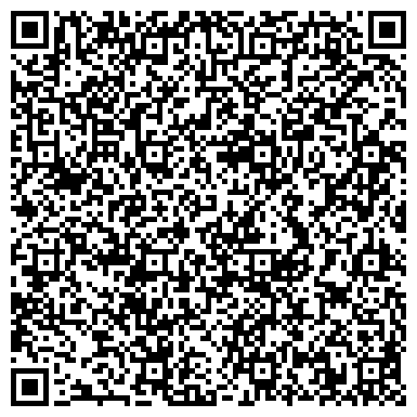 QR-код с контактной информацией организации ДЕТСКАЯ ХУДОЖЕСТВЕННАЯ ШКОЛА «СОЛНЦЕВО»