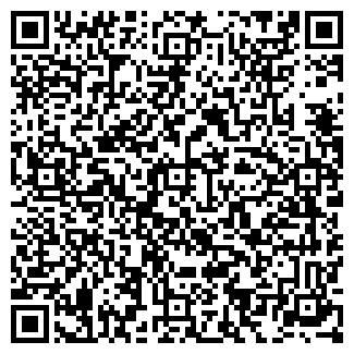 QR-код с контактной информацией организации ШИНЫ ДИСКИ