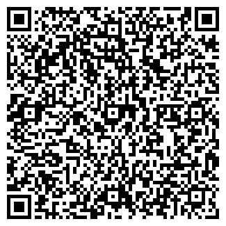 QR-код с контактной информацией организации ООО ТомТесла