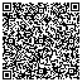 QR-код с контактной информацией организации ЛЭДИС ООО