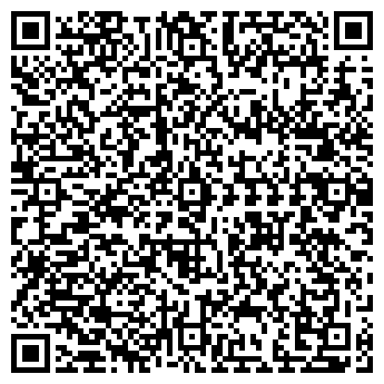 QR-код с контактной информацией организации Вилла Пицца