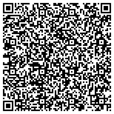 QR-код с контактной информацией организации Damis Accessories