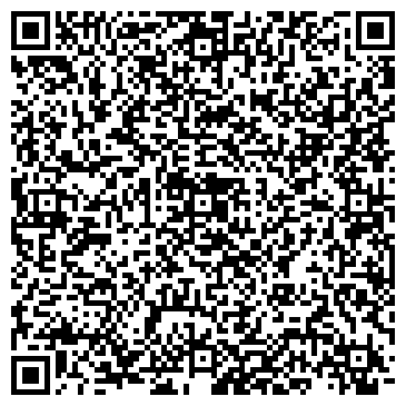 QR-код с контактной информацией организации Борская детская художественная школа