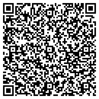 QR-код с контактной информацией организации ИП Фетисова Н.В.