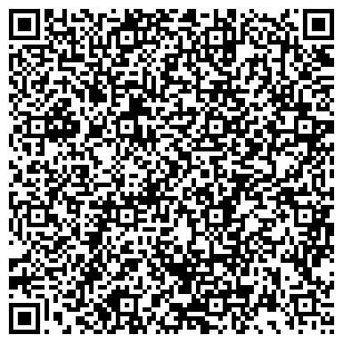 QR-код с контактной информацией организации Детская музыкальная школа №1 им. М.П. Фролова