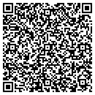 QR-код с контактной информацией организации "Айсберг"