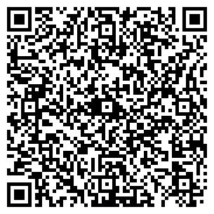 QR-код с контактной информацией организации Светлана