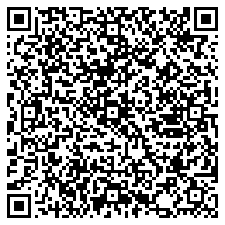 QR-код с контактной информацией организации Вулкан