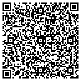 QR-код с контактной информацией организации ИП Дзидзярия Ф.И.