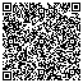 QR-код с контактной информацией организации Гудвин, кафе, ООО Обсидиан