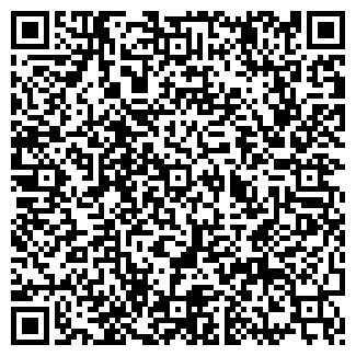 QR-код с контактной информацией организации Детский сад №204