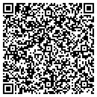 QR-код с контактной информацией организации ИП Ворона С.Н.