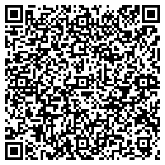 QR-код с контактной информацией организации VIP САЛОН