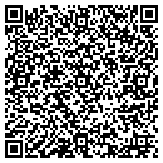 QR-код с контактной информацией организации Детали образа