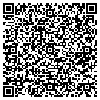 QR-код с контактной информацией организации Томь, гимназия