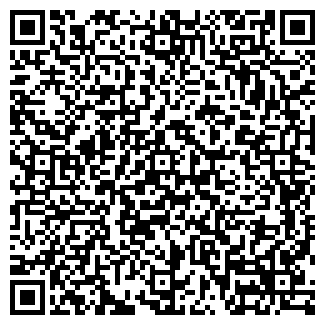 QR-код с контактной информацией организации ИП Афонина Н.Г.