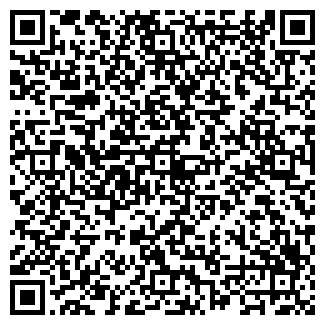 QR-код с контактной информацией организации ИП Вазенмиллер А.А.