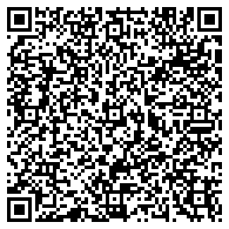 QR-код с контактной информацией организации Детский сад №113