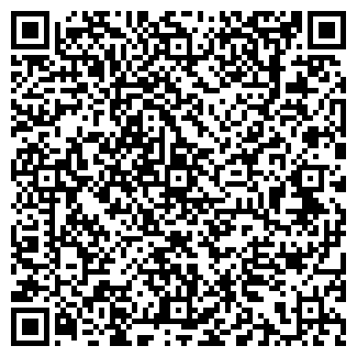 QR-код с контактной информацией организации 5nizza