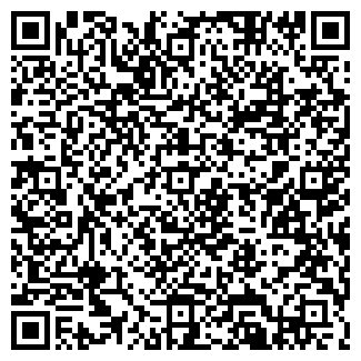 QR-код с контактной информацией организации Болдинское