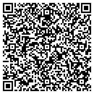 QR-код с контактной информацией организации ИП Лян Н.И.