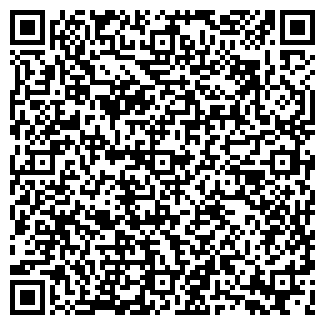 QR-код с контактной информацией организации "Дворик"