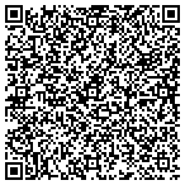 QR-код с контактной информацией организации "Светлана"