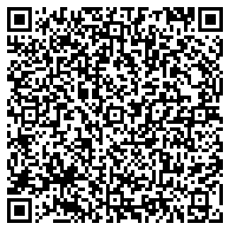 QR-код с контактной информацией организации ООО Геометрикс