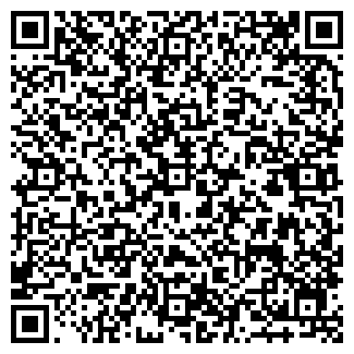 QR-код с контактной информацией организации "Ромашка" (Закрыт)