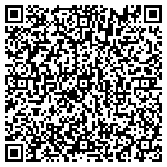 QR-код с контактной информацией организации ПЛЕМ-СЕРВИС