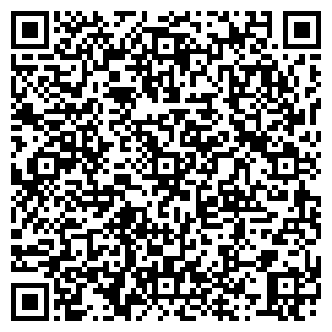 QR-код с контактной информацией организации Google