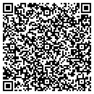 QR-код с контактной информацией организации Гимназия №133