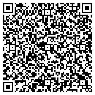 QR-код с контактной информацией организации Гимназия №133