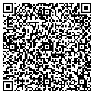 QR-код с контактной информацией организации Силуэт